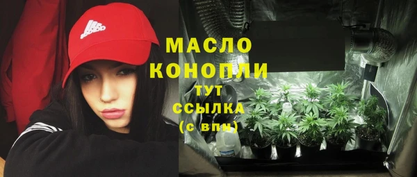индика Белокуриха