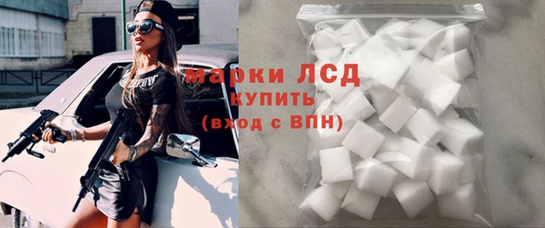 индика Белокуриха