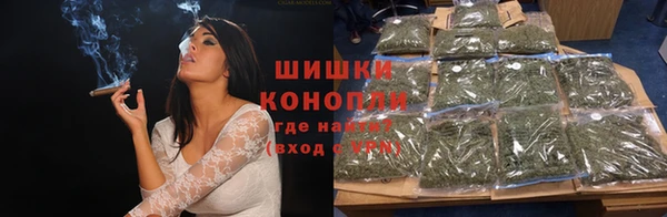 молекула духа Белоозёрский