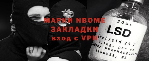 индика Белокуриха