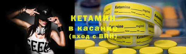 индика Белокуриха