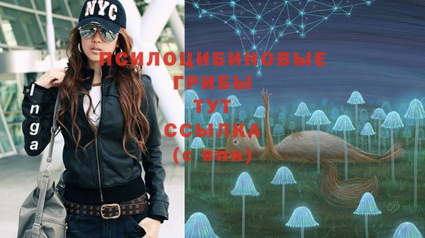jwh Беломорск