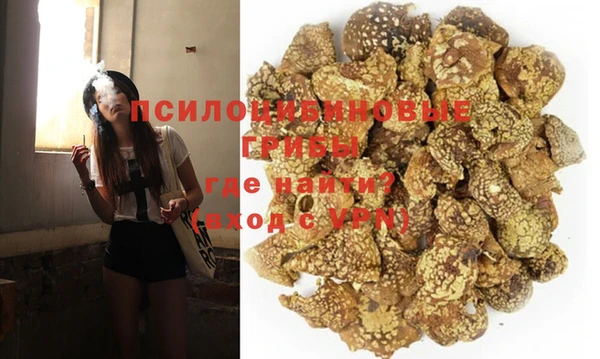 молекула духа Белоозёрский