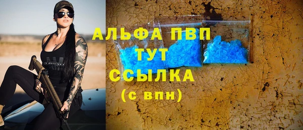 индика Белокуриха