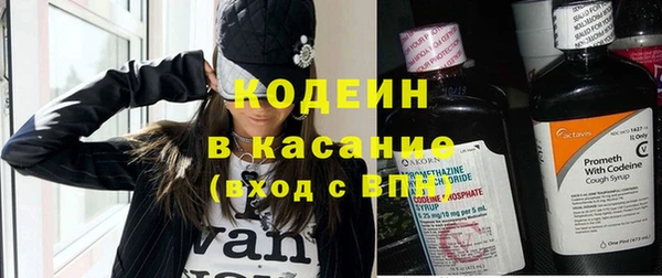 индика Белокуриха