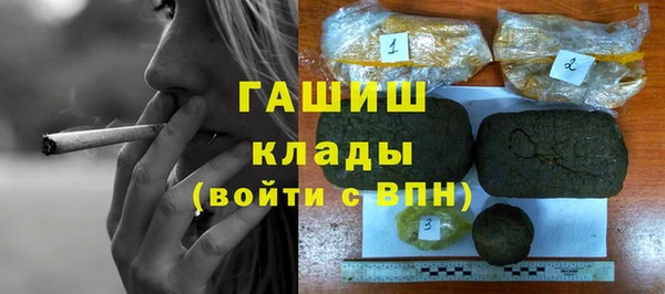 индика Белокуриха
