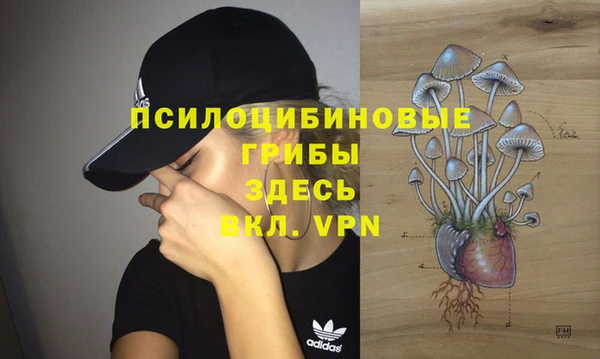молекула духа Белоозёрский