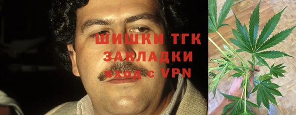 индика Белокуриха