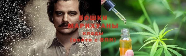 молекула духа Белоозёрский