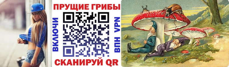 Псилоцибиновые грибы ЛСД Пятигорск